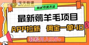 最新薅羊毛项目,利用购物APP拉新,佣金一单40.配合独家引流方法-天天有课网