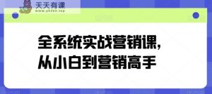 全系统实战营销课，从小白到营销高手-天天有课网