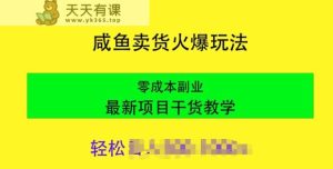 闲鱼卖货火爆玩法，靠售卖电子产品，零成本副业项目最新干货教学-天天有课网