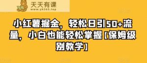 小红书掘金队,轻轻松松日引50 总流量,新手也可以轻松把握【家庭保姆等级课堂教学】-天天有课网