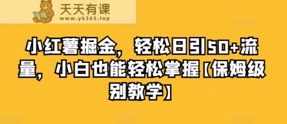 小红书掘金队，轻轻松松日引50 总流量，新手也可以轻松把握【家庭保姆等级课堂教学】-天天有课网