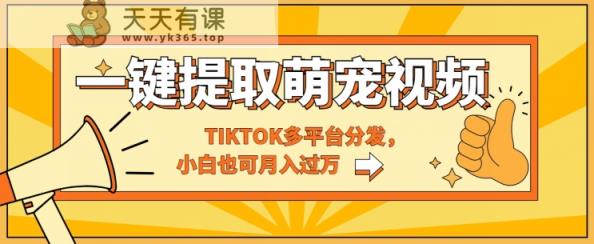 一键智能化获取tiktok萌宠视频，多平台分发，新手也可以月入了W-天天有课网