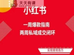 爆品小红书的流量管理体系课程内容(两个星期转现)，小红书电商实例教程-天天有课网