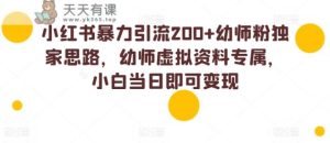 小红书的暴力行为引流方法200 幼儿教师粉独家代理构思,幼儿教师虚似材料专享,小白当日就可以转现-天天有课网