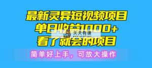 全新诡异短视频项目，单日盈利1000 一看就大会新项目，简易好上手可变大实际操作-天天有课网