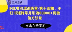 小红书引流夏令营-第十五期,小红书的矩阵账号月引流方法80000 进微信科学方法论-天天有课网