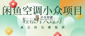 闲鱼卖空调小众项目 轻松月入过万 真正的无需垫资金-天天有课网