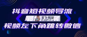 抖音短视频引流导流最佳方案，视频左下角跳转微信，外面500一单，利润200+-天天有课网