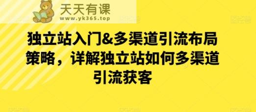 自建站新手入门&多种渠道引流方法合理布局对策，详细说明自建站怎样多种渠道引流方法拓客-天天有课网