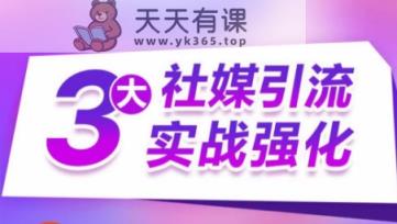 3大社交媒体引流方法实战演练加强，多种渠道站外引流，高效率营销获客，订单信息销售总额翻倍增长-天天有课网