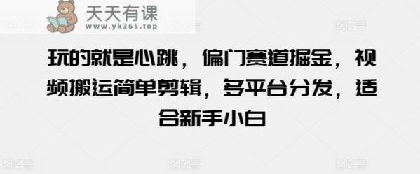 玩的就是心跳，偏门赛道掘金，视频搬运简单剪辑，多平台分发，适合新手小白【揭秘】-天天有课网