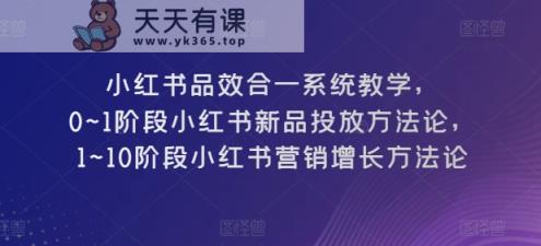 小红书的品效合一系统软件课堂教学，0~1环节小红书的新产品推广科学方法论，1~10环节小红书营销提高科学方法论-天天有课网