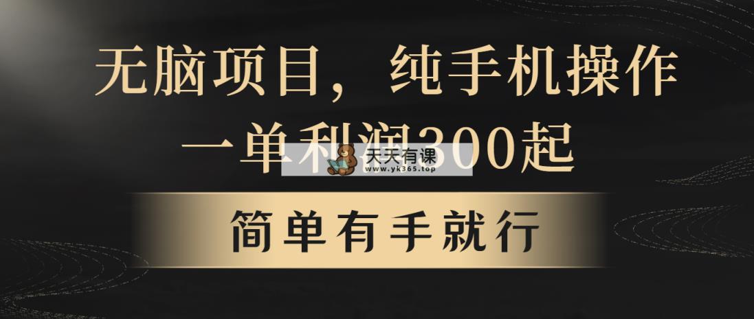 没脑子新项目，一单几百元，轻轻松松月入5w ，看了就可以直接实际操作-天天有课网