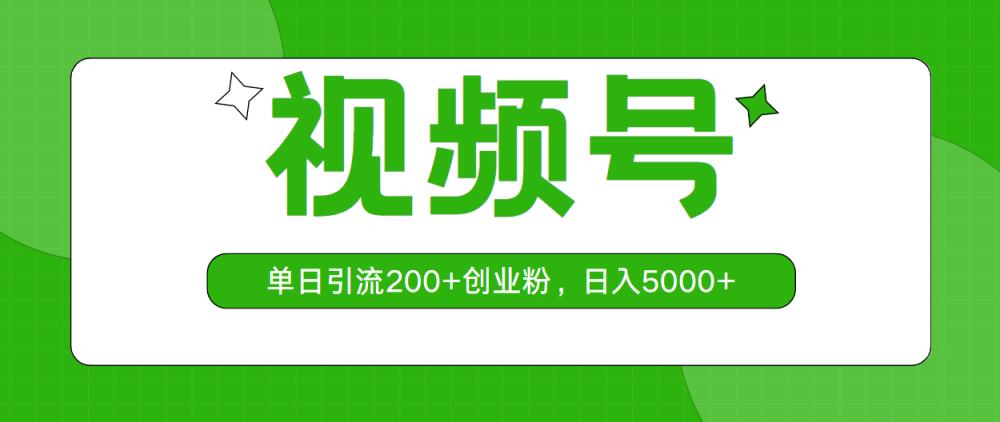 微信视频号，单日引流方法200 自主创业粉，日入5000-天天有课网