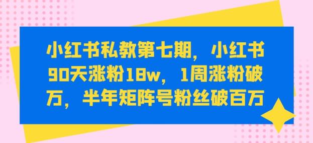 小红书私教第七期，小红书90天涨粉18w，1周涨粉破万，半年矩阵号粉丝破百万-天天有课网