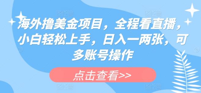 国外撸美元新项目，全过程手机看直播，新手快速上手，日入一两张，可多账号实际操作【揭密】-天天有课网