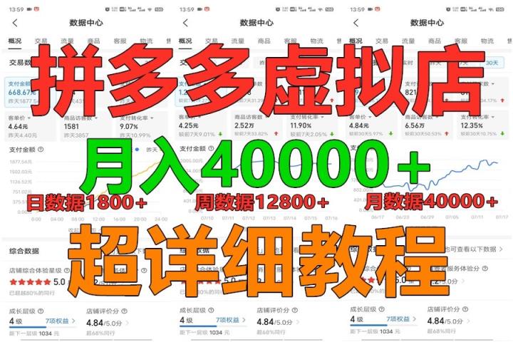 拼多多虚拟电商训练营月入40000+，全网最详细，你做你也行，暴利稳定长久-天天有课网
