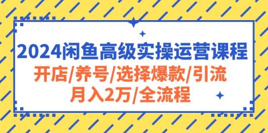 2024闲鱼高级实操运营课程：开店/养号/选择爆款/引流/月入2万/全流程-天天有课网