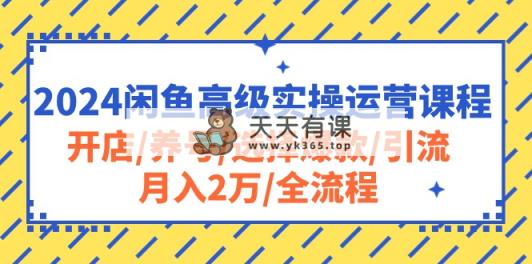 2024闲鱼平台高端实际操作营销课程：开实体店/起号/挑选爆品/引流方法/月入2万/全过程-天天有课网