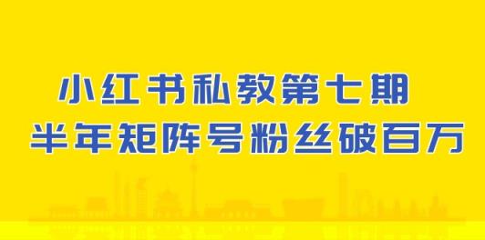 (10650期）小红书的-私人教练第七期，小红书的90天增粉18w，1周增粉过万 大半年矩阵账号粉丝们破百万-天天有课网