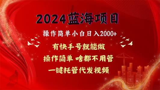 2024蓝海项目，百度云盘引流，使用方便新手日入2000 ，一键代管代发货短视频，…-天天有课网