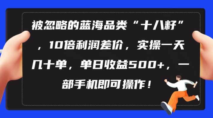 被忽视瀚海类目“十八籽”，10倍盈利价格差，实际操作一天几十单 单日盈利500-天天有课网
