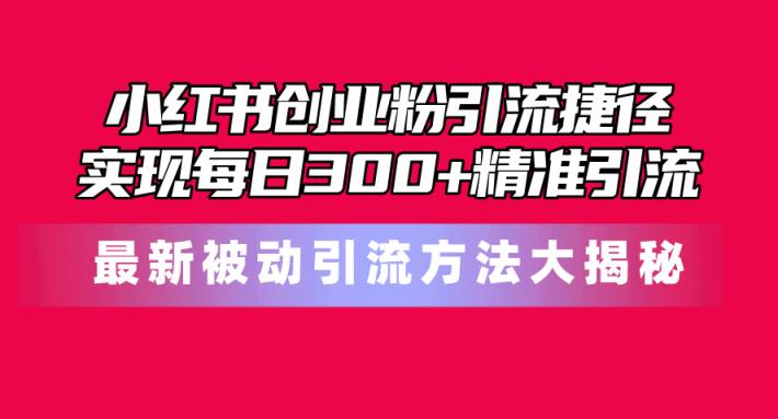 小红书的自主创业粉引流方法近道！全新被动引流方式大曝光，完成每日300 精准引流方法-天天有课网