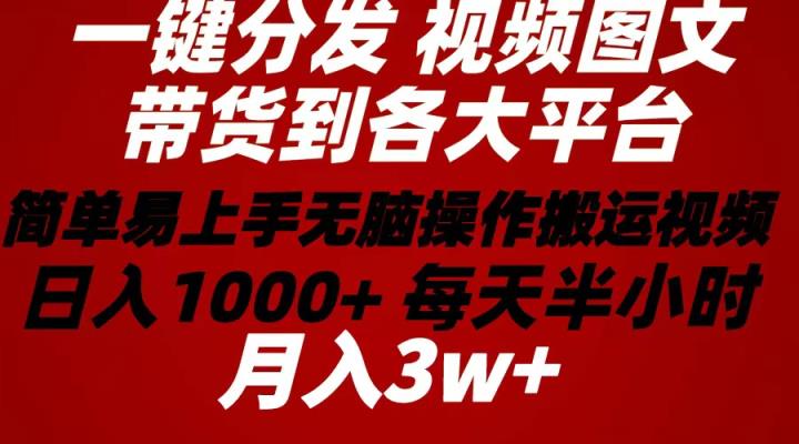 2024年 一键分发卖货图文视频  简单易上手 没脑子赚盈利 每天一小时日入1…-天天有课网