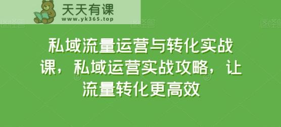私域流量运营与转化实战课，私域运营实战攻略，让流量转化更高效-天天有课网