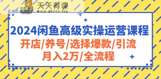 2024闲鱼高级实操运营课程：开店/养号/选择爆款/引流/月入2万/全流程-天天有课网