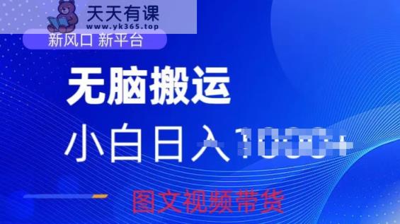 京东视频图文搬运带货项目，蓝海赛道小白轻松上手，每天一小时轻松获取收益-天天有课网