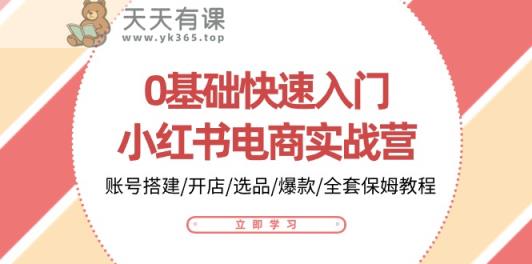0基础快速入门小红书电商实战营：账号搭建/开店/选品/爆款/全套保姆教程-天天有课网
