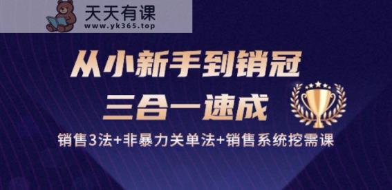从小新手到销冠 三合一速成：销售3法+非暴力关单法+销售系统挖需课 (27节)-天天有课网