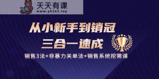 从小新手到销冠三合一速成：销售3法+非暴力关单法+销售系统挖需课 (27节)-天天有课网