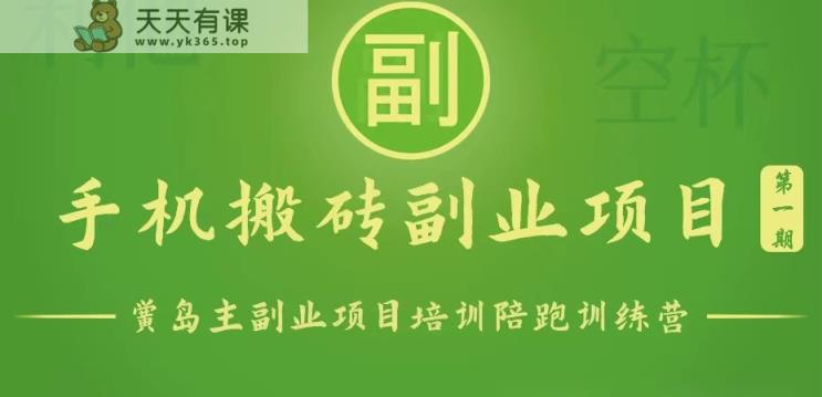 手机搬砖小副业项目训练营1.0，能用手机做的简单小副业-天天有课网