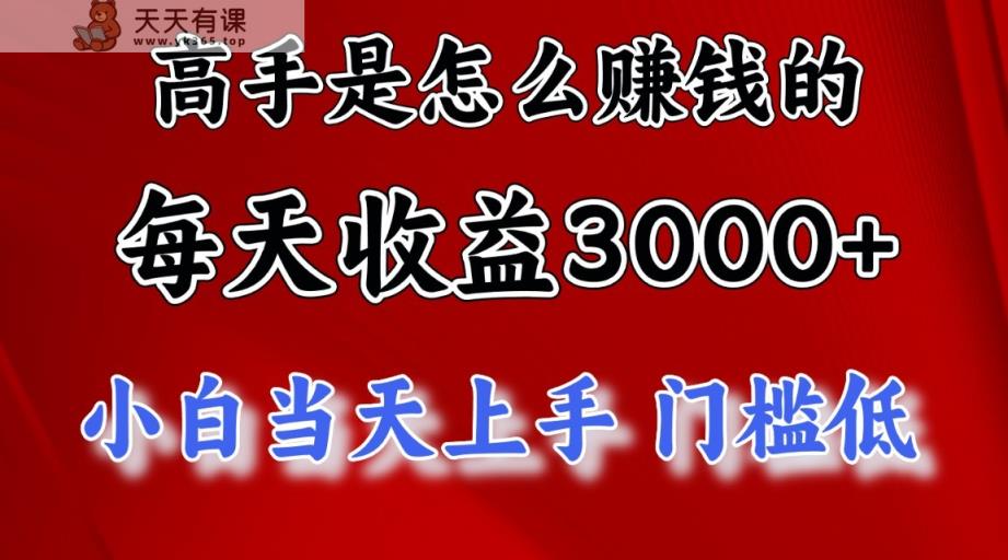 高手是怎么赚钱的，一天收益3000+，闷声发财项目，不是一般人能看懂的-天天有课网