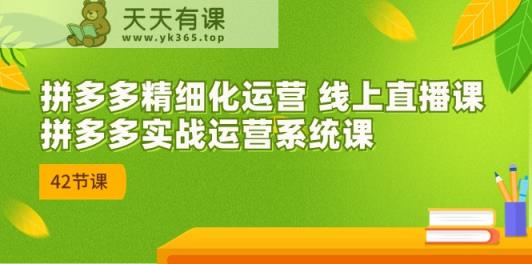 拼多多精细化运营 线上直播课：拼多多实战运营系统课-天天有课网