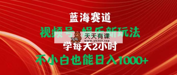 蓝海赛道视频号 娱乐新玩法每天2小时小白也能日入1000+-天天有课网