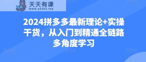 2024拼多多最新理论+实操干货，从入门到精通全链路多角度学习-天天有课网