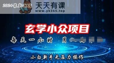 2024年新版本风水玄学冷门游戏玩法新项目，零门槛高收益，新手入门没压力实际操作-天天有课网