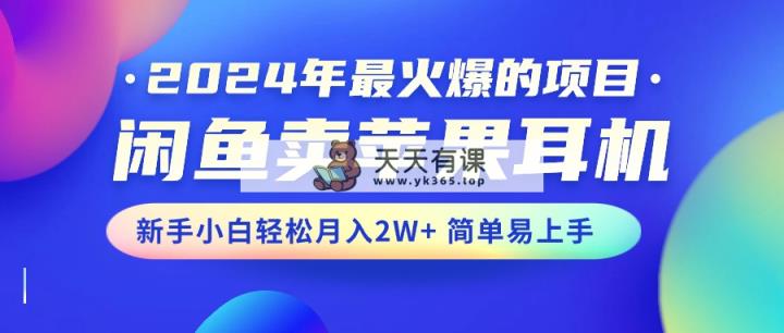 2024年最受欢迎的新项目，淘宝闲鱼苹果耳机，新手入门轻轻松松月入2W 简单易上手-天天有课网