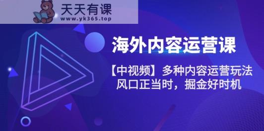 海外内容运营课【中视频】多种内容运营玩法 风口正当时 掘金好时机-天天有课网