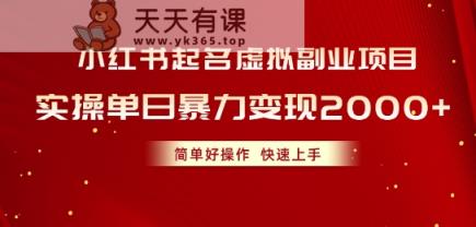 小红书起名虚拟副业项目，实操暴力变现，简单好操作，快速上手-天天有课网