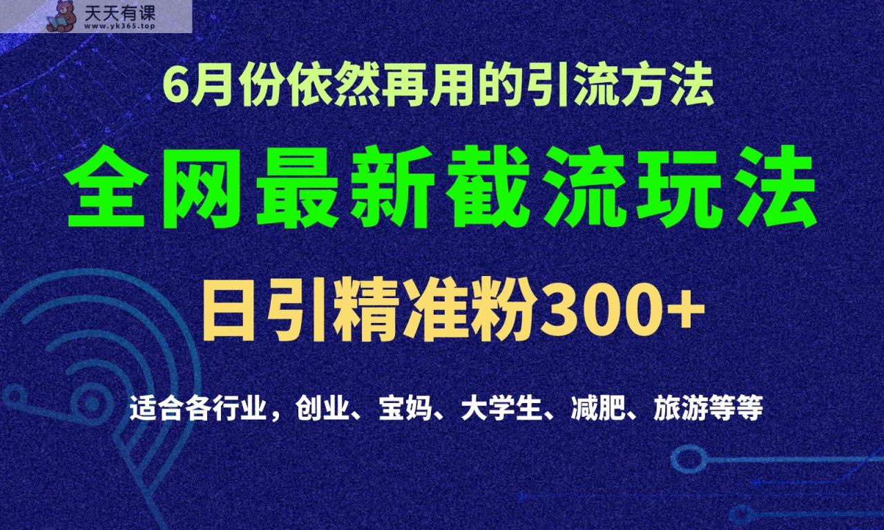2024全网最新截留玩法，每日引流突破300+-天天有课网