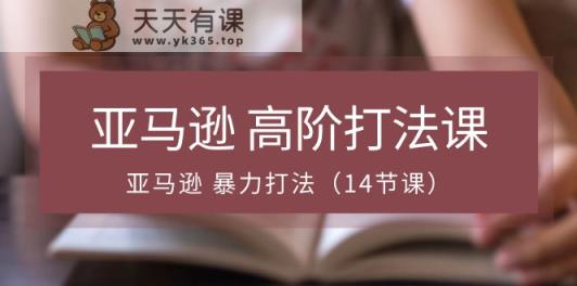 亚马逊高阶打法课，亚马逊暴力打法-天天有课网