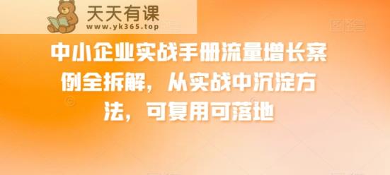 中小型企业实战演练指南流量增长实例全拆卸，从训练中沉积方式，复用可落地式-天天有课网