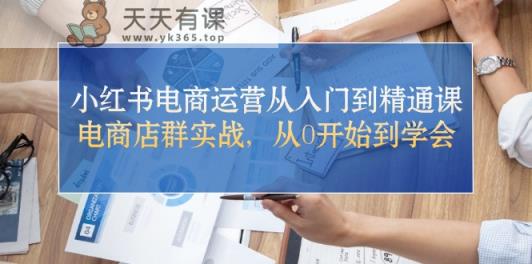 小红书电商运营从入门到精通课，电商店群实战，从0开始到学会-天天有课网