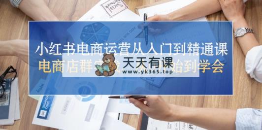 小红书电商运营从入门到精通课，电商店群实战，从0开始到学会-天天有课网