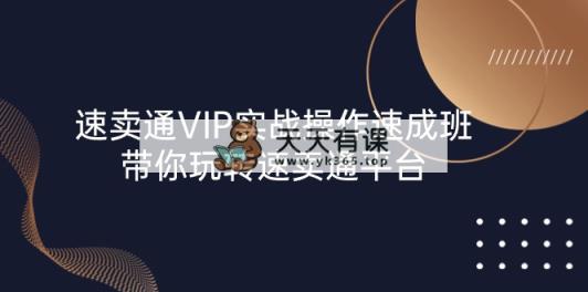 速卖通 VIP实战操作-速成班，带你玩转速卖通平台-天天有课网