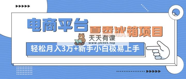 电商平台夏季冰箱项目，轻松月入3万+，新手小白极易上手-天天有课网